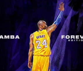 开云下载-东契奇，在美加墨的星空下，为小国篮球点亮银河